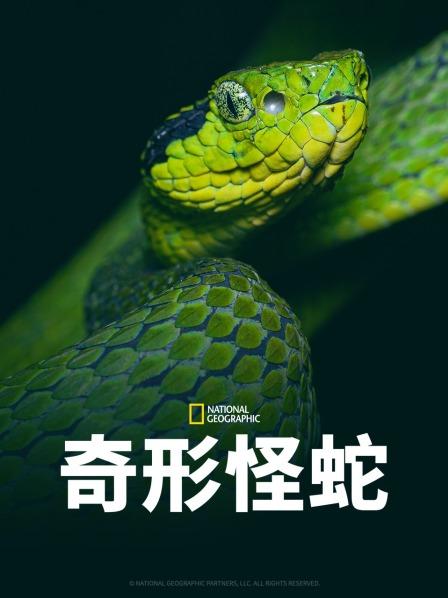 黑料网官网《奇形怪蛇》免费在线观看